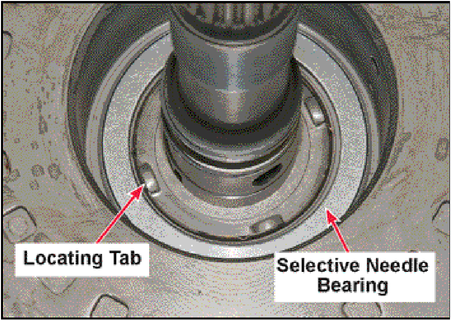 520065657_graphic-text263